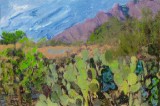 Vast Purple Mountains, Arizona